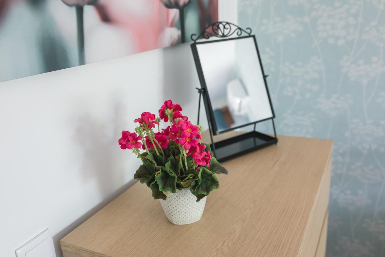Apartmán Casa Flor De Lotus - T1 Centro Braga Exteriér fotografie